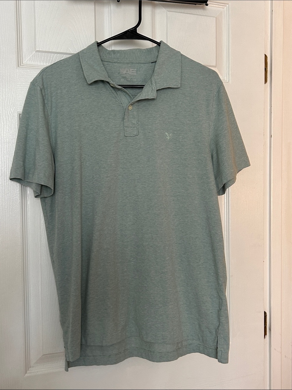 American Eagle Outfitters Sage Green Men's Polo